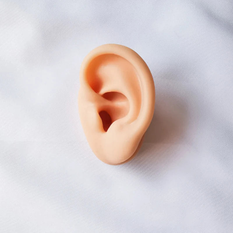Silicone Ear Model Display For Hearing Earphones Training