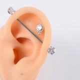 Silicone Ear Model Practice Piercing Tools Earring Display