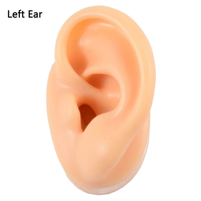 Silicone Ear Model Practice Piercing Tools Earring Display