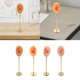 Silicone Ear Molds Earring Display Stand Organizer