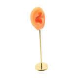 Silicone Ear Molds Earring Display Stand Organizer