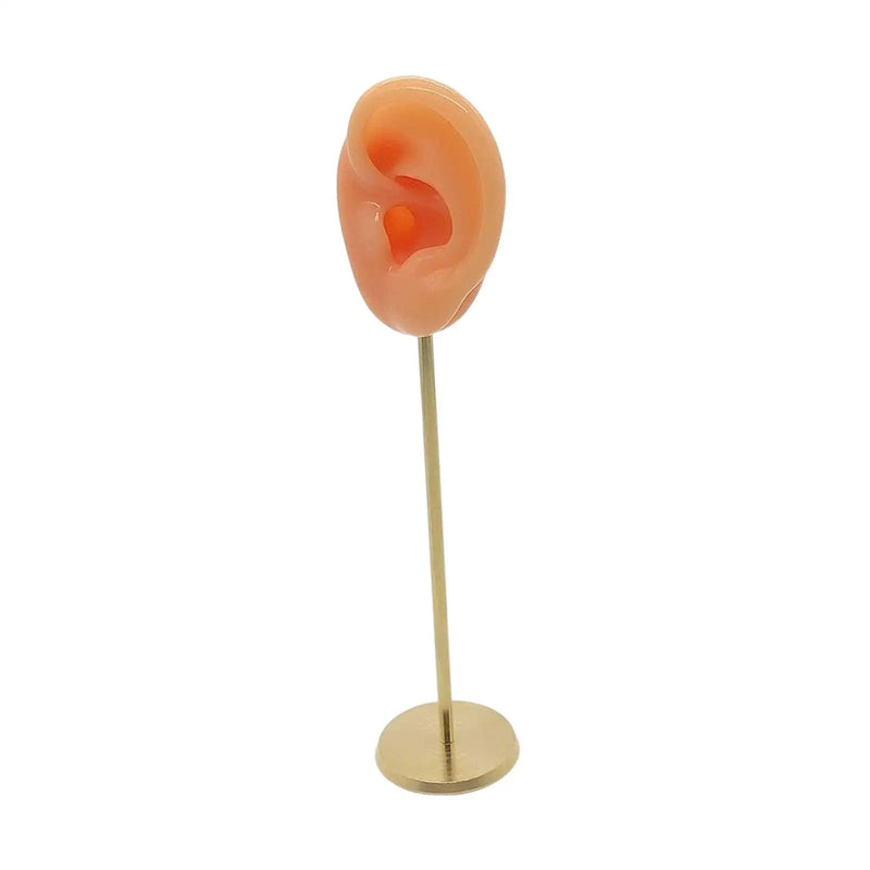 Silicone Ear Molds Earring Display Stand Organizer