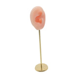Silicone Ear Molds Earring Display Stand Photography Props