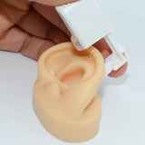 Silicone Ear Nose Model with Clear Board