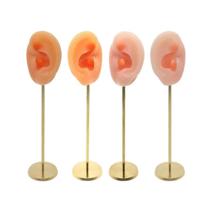 Silicone Ear Molds Earring Display Stand Hearing Aids Model