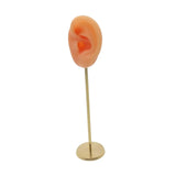 Silicone Ear Molds Earring Display Stand Hearing Aids Model
