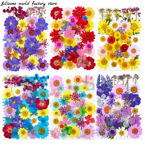Silicone Flower Mold Fillings UV Expoxy Nail Art Pressed Flowers