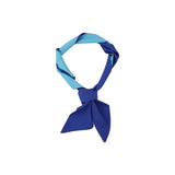 Silk Scarf Tie Belt Hair Clip Head Rope