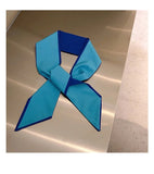 Silk Scarf Tie Belt Hair Clip Head Rope