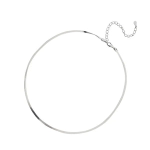 Silver Clavicle Chain Necklace Girls Neck Chain Snake Bone Chain
