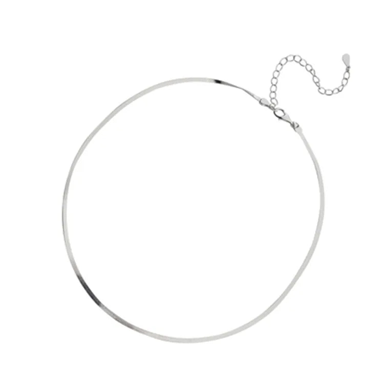 Silver Clavicle Chain Necklace Girls Neck Chain Snake Bone Chain