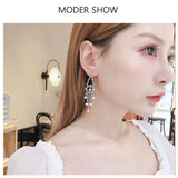 Silver Needle Tassel Earrings High Cubic Zircon Fine Jewelry