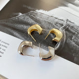 925 Silver Irregular Stud Earrings Western Aesthetics Exaggeration Earring