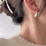925 Silver Oval Big Hoop Earrings for Women, Exaggerate Thick Minimalist Jewelry