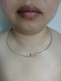 Stainless Steel Nail Collar for Pets