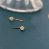 Sterling Silver Diamond Round Earrings