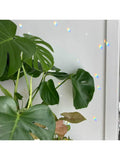 Brass Hoop Crystal Sun Catcher, Rainbow Window Hanging