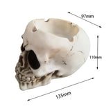 Skull-Shaped Ashtray Silicone Mold for DIY Resin Crafts