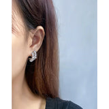925 Silver Earrings, Light Luxury Design, Versatile Style