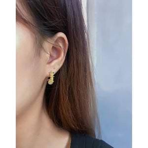 925 Silver Earrings, Light Luxury Design, Versatile Style