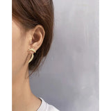Microinlaid Zircon 925 Silver Feather Earrings