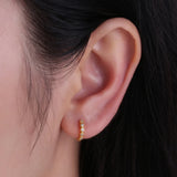 Small Hoop 925 Sterling Silver Earrings Zircon Rose Women Jewelry Accessoires