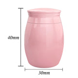 Butterfly Mini Urn Heart Keepsake for Human Ashes Pink/Blue