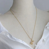 Small Rabbit Pendants Necklace Stainless Steel Letter Sweater Chain Long Plated