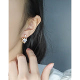 Small Zircon Earrings 925 Silver Female Texture