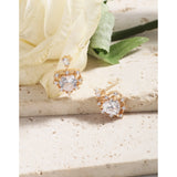 Small Zircon Earrings 925 Silver Female Texture