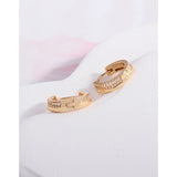 Zircon Single Loop Earrings, 925 Sterling Silver, Female Texture