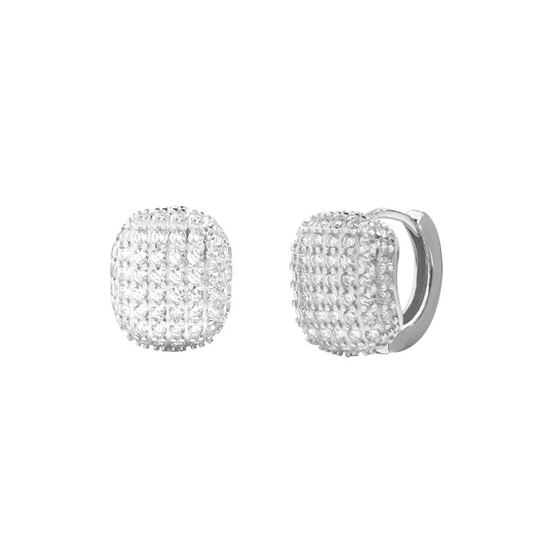 Micro Inlaid Zircon 925 Sterling Silver Diamond Earrings