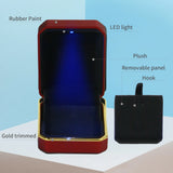 Matte Necklace Holder Jewelry Box LED Display Case Women