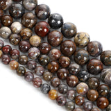Smooth Brown Pietersite Stone Beads Round 6/8/10MM
