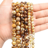Smooth Leopard Skin Agate Round Stone Beads 6/8/10MM