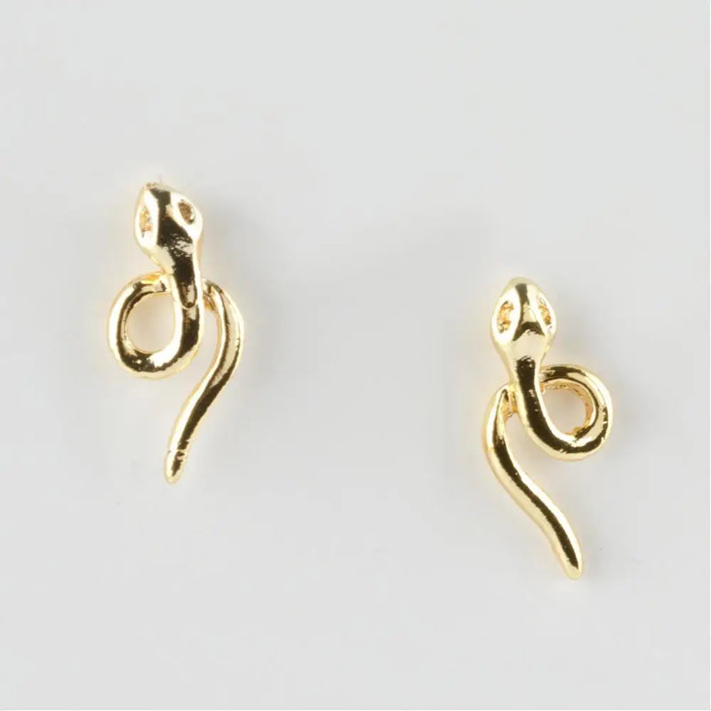 Snake Metal Earrings