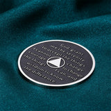 Sobriety Coin Recovery Anniversary Gift For Alcoholics Men Husband Boys