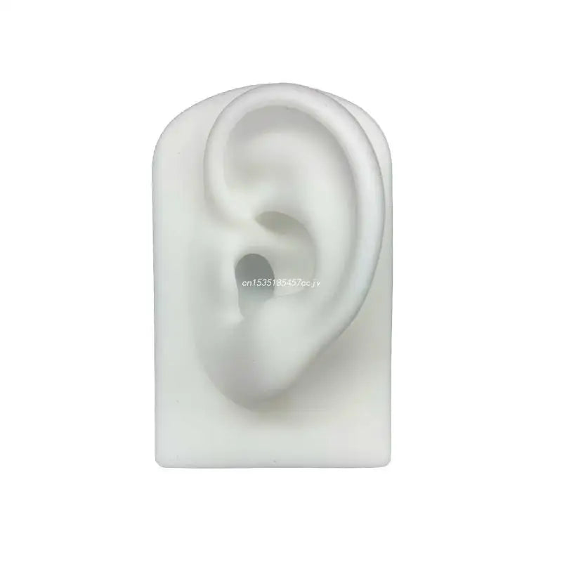Silicone Ear Model for Hearing Aids 1:1 Human Ear Display
