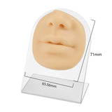 Silicone Mouth & Nose Model for Piercing Display