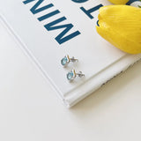 S925 Silver Girl Zircon Earrings & Earrings