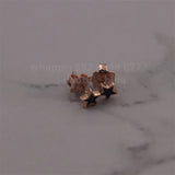 Spanish Bear Jewelry Set: Bracelet & Stud Earrings