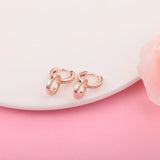 Double Hoop Earrings Sterling Silver Jewelry For Woman