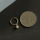 Sparkling Zircon Small Earrings S925 Silver Plated 14K