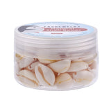 Spiral Shell Beads Oval Cowrie Shells for DIY Jewelry Making