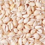 Spiral Shell Beads Oval Cowrie Shells for DIY Jewelry Making