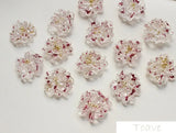 Spring Resin Small Dried Flower DIY Ear Stud Material