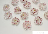 Spring Resin Small Dried Flower DIY Ear Stud Material