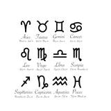 Stainless Steel Zodiac Birthstone Bracelet Charm Jewelry