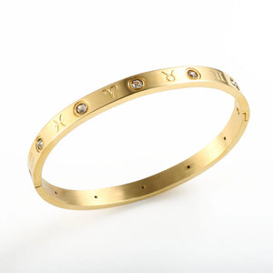 Stainless Steel Zodiac Bracelet with Cubic Zircon, Women's Bangle Gift