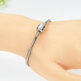 Titanium Steel Snake Bone Chain Bracelet